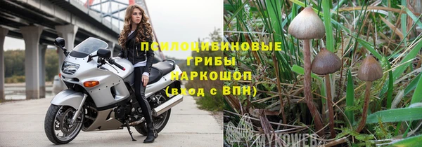 прущая мука Бородино