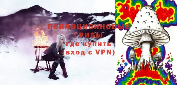 мдпв Бугульма