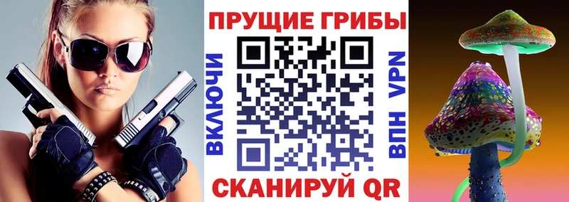 Псилоцибиновые грибы ЛСД  мега ссылка  Тбилисская 